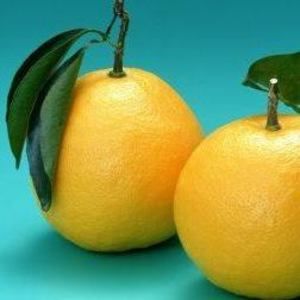 Meet your Posher, Olive